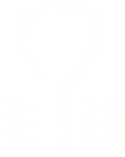The Bay Trust
